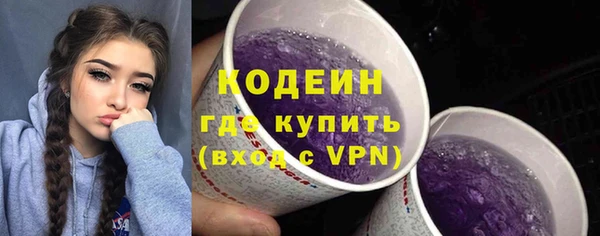 дживик Бородино