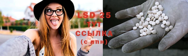 ПСИЛОЦИБИНОВЫЕ ГРИБЫ Бронницы