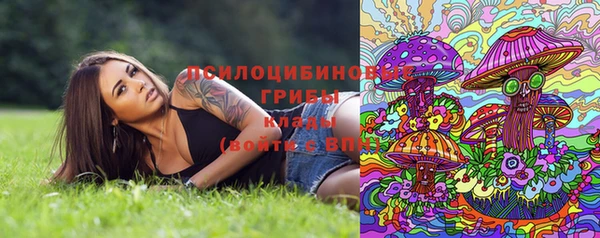 гидра Бугульма