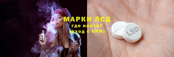 дживик Бородино