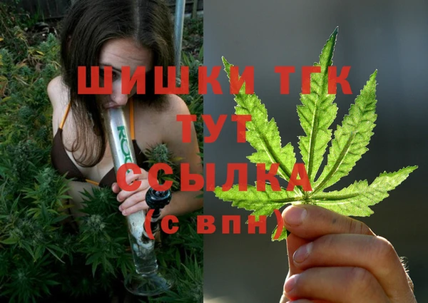 дживик Бородино