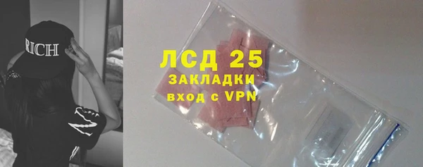 дживик Бородино