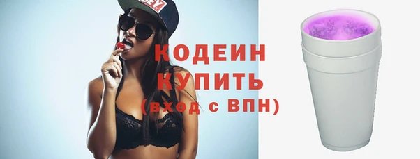 дживик Бородино