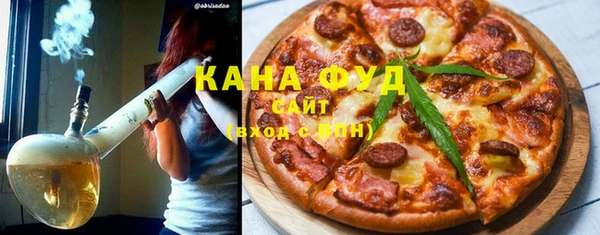 дживик Бородино