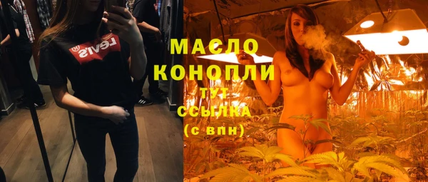 дживик Бородино