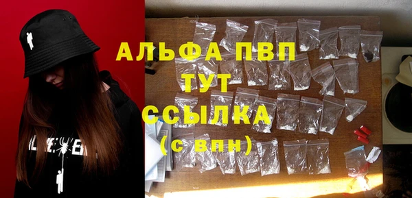 дживик Бородино