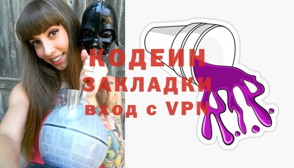 дживик Бородино