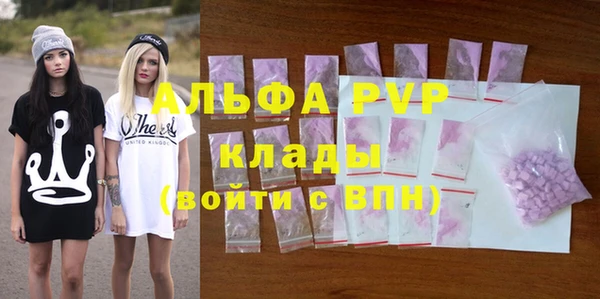дживик Бородино